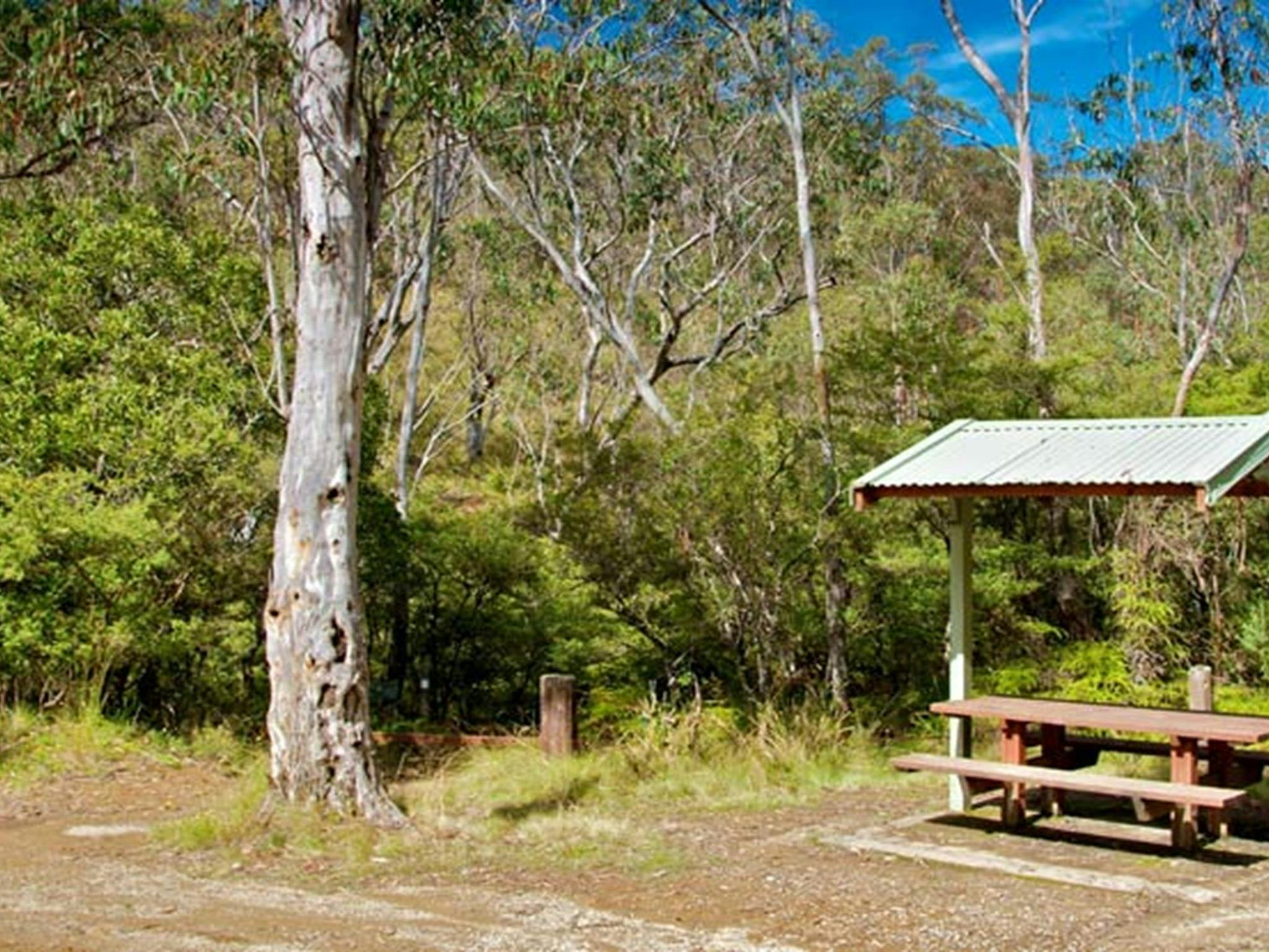 Gloucester Tops picnic area, Barrington Tops National Park. Photo: John Spencer