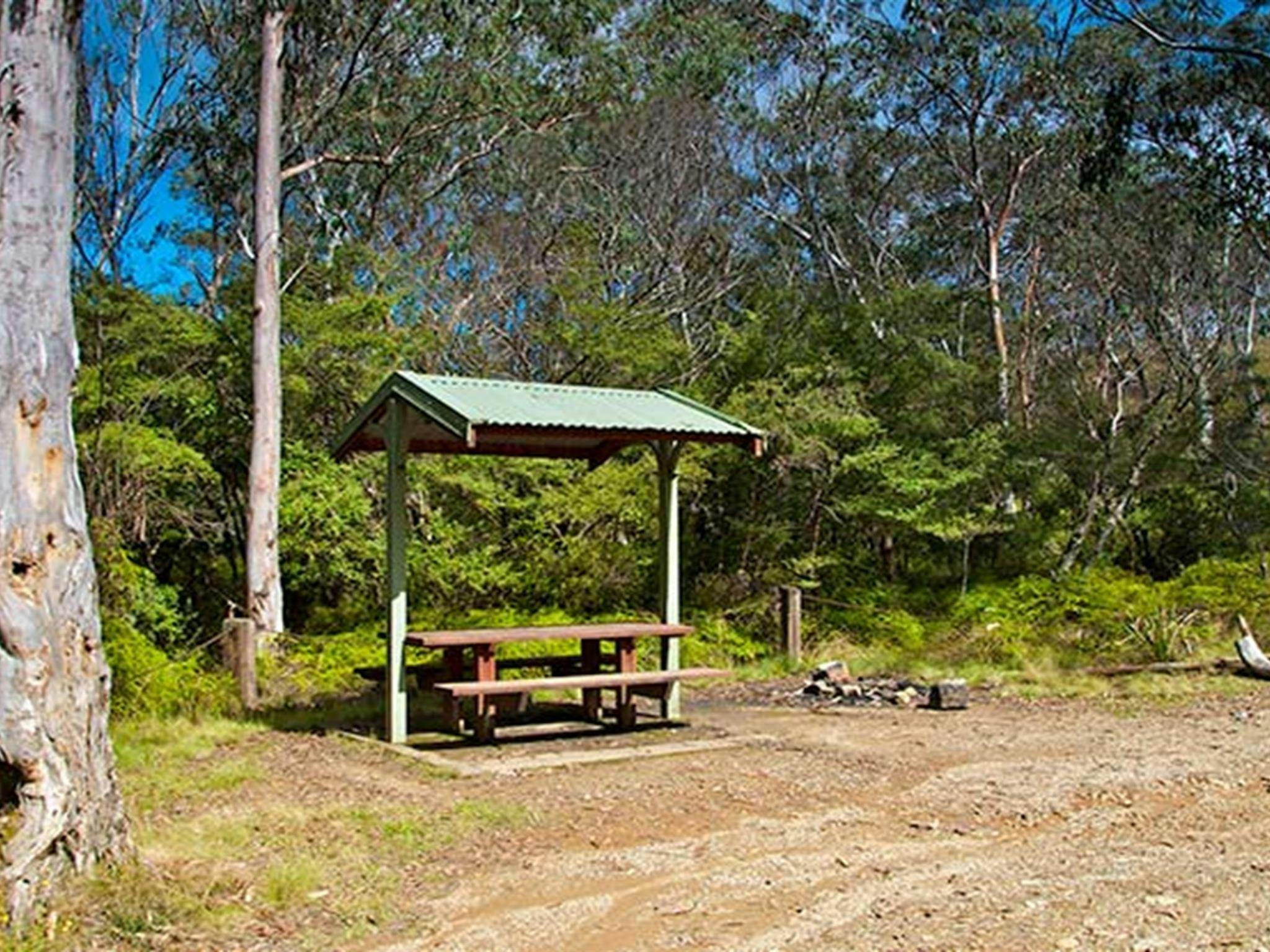 Park bench and shelter, Gloucester Tops picnic area, Barrington Top National Park. Photo:John