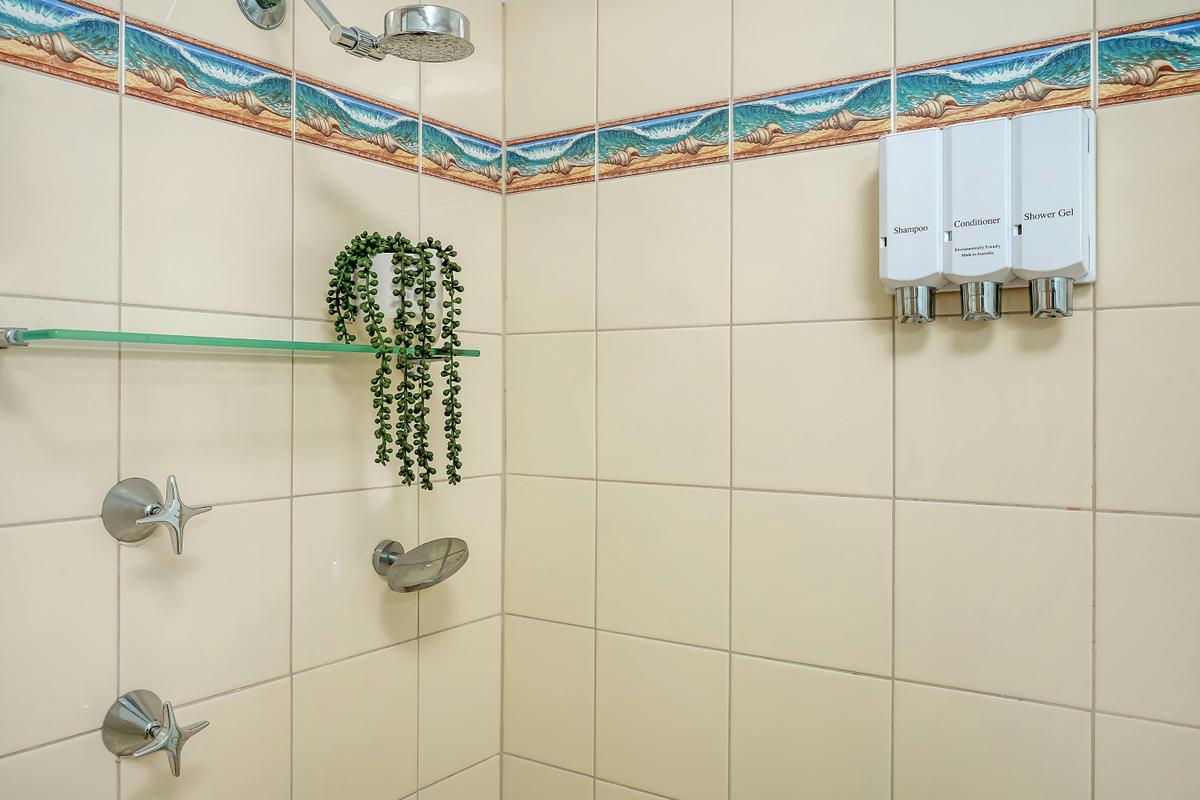 Holiday Lodge | Tasman Holiday Parks - North Star