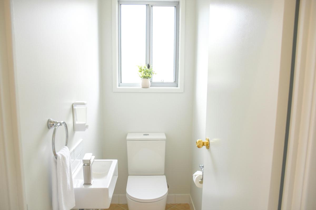 Driftwood Lodge | Tasman Holiday Parks - North Star