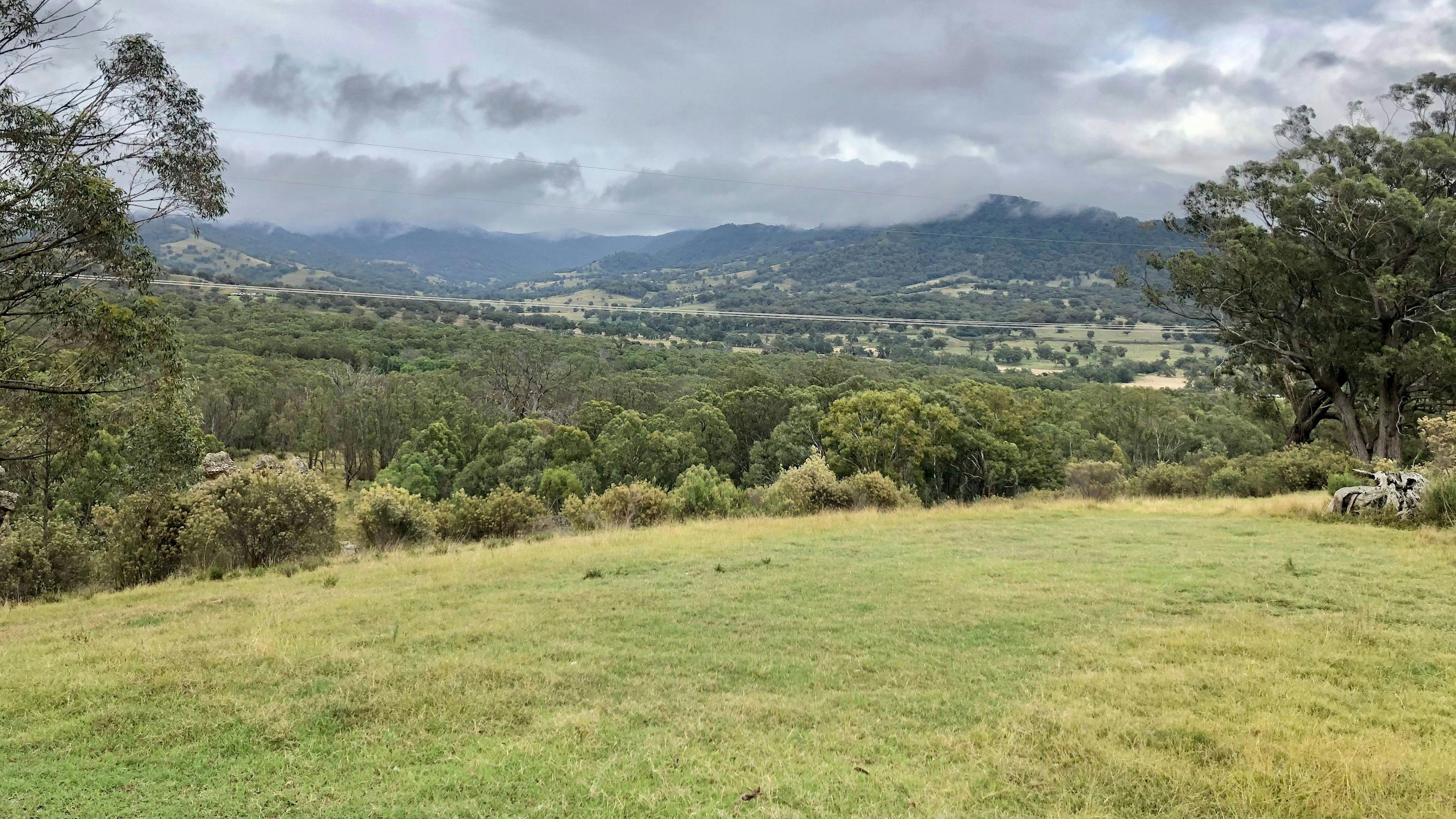 Temple Court, Murrurundi