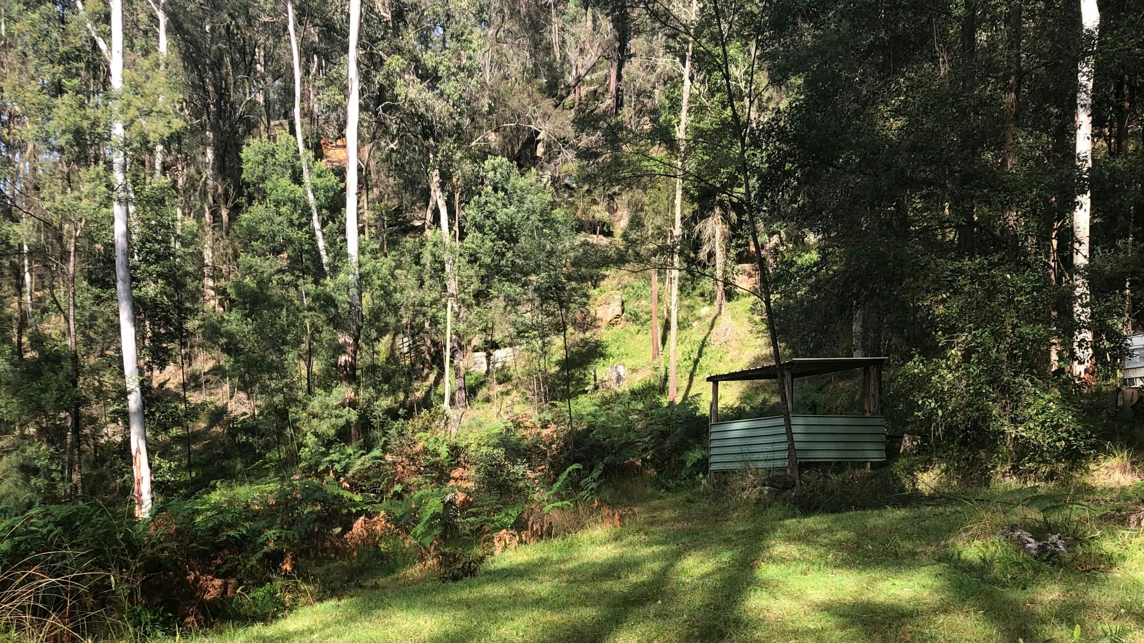 Tanglewood Bush Camp - Putty Valley