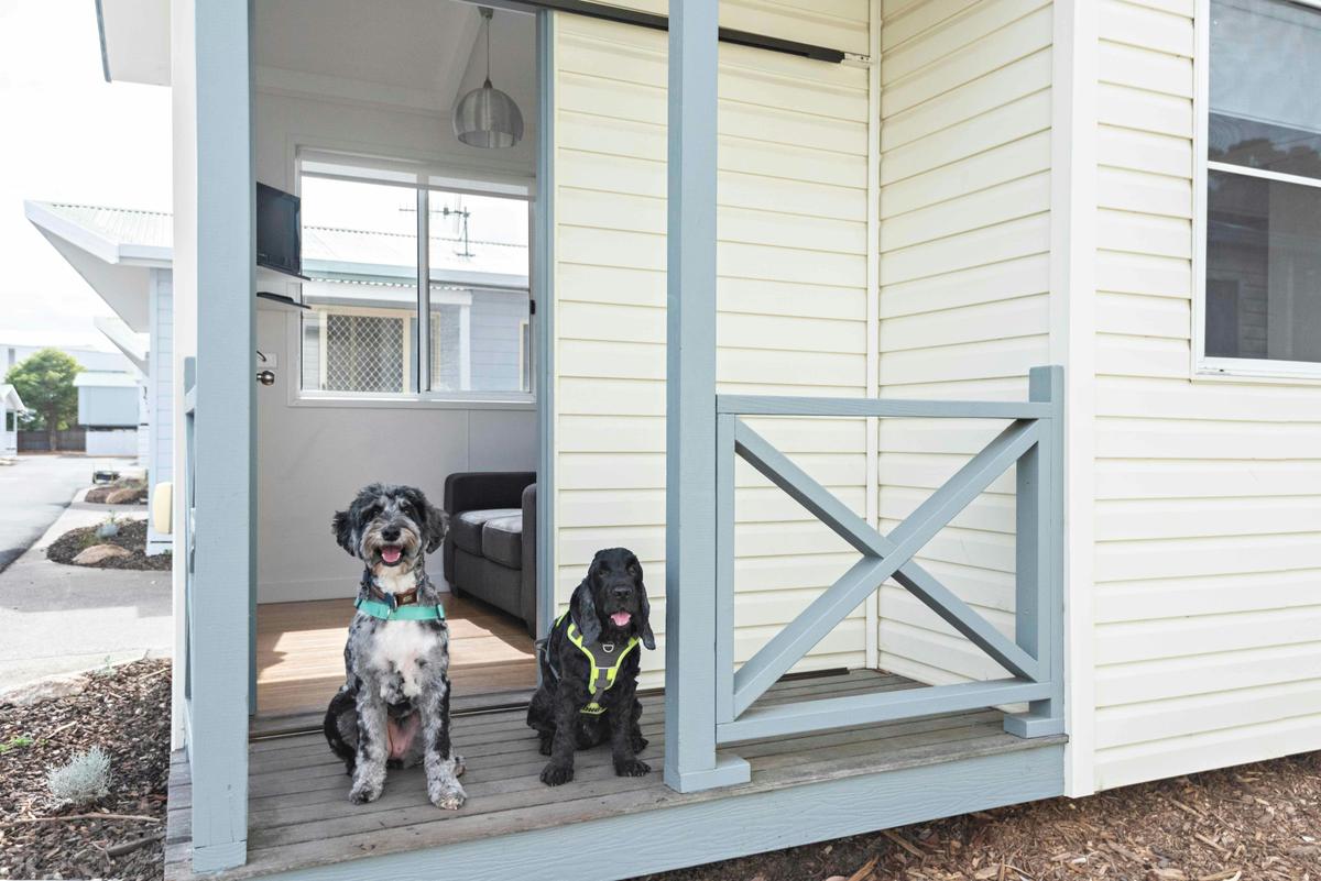 Some of our cabins are dog friendly.