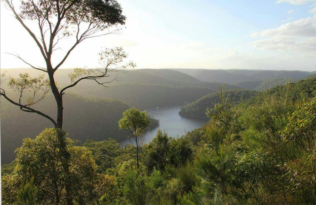 Great North walk - Berowra Valley National Park