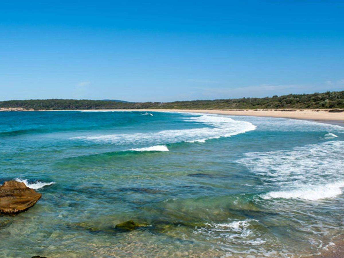Termeil Point campground, Meroo National Park. Photo: Michael van Ewijk/OEH