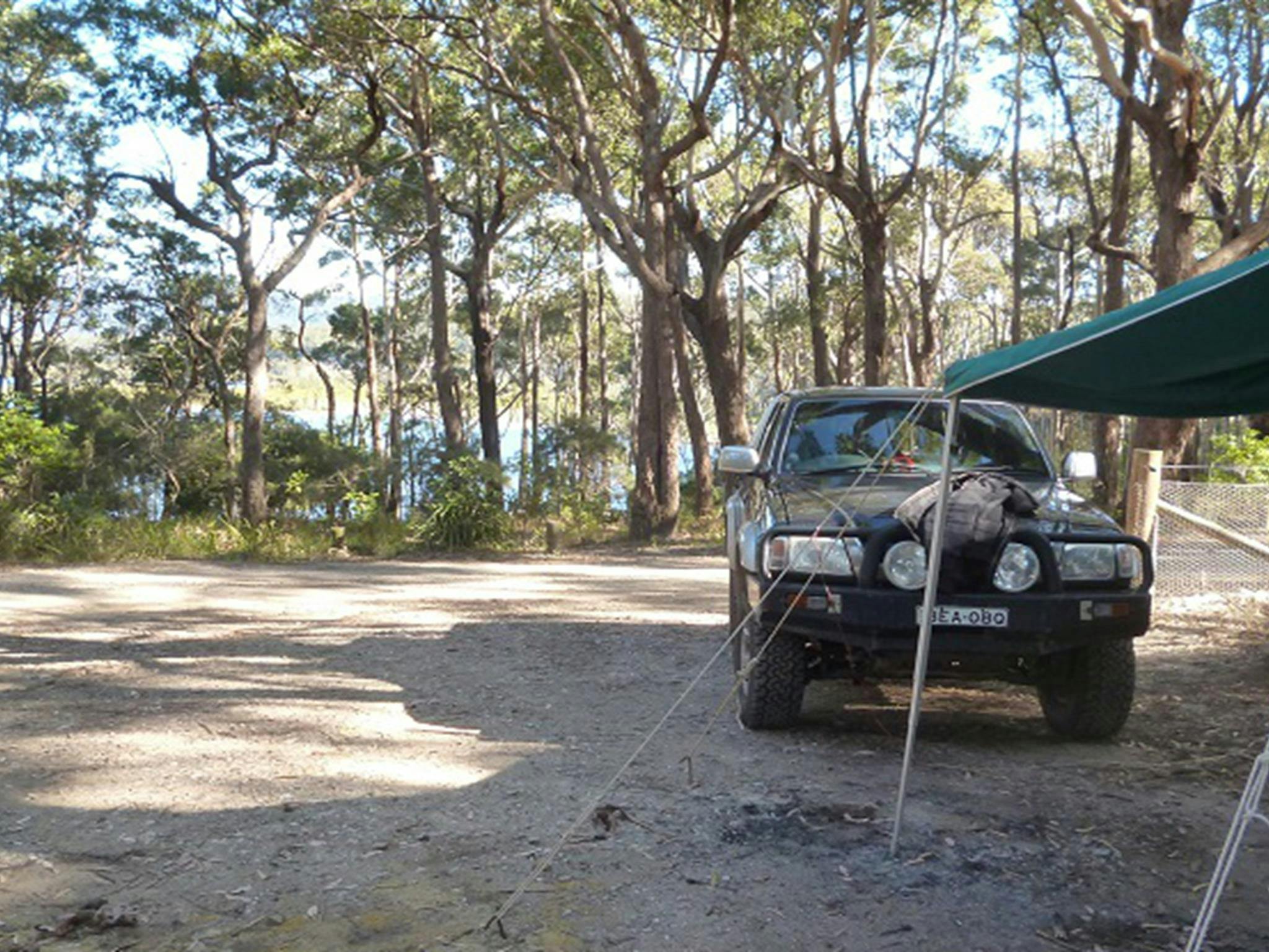 Termeil Point campground. Photo: Meghan Kempster/NPWS