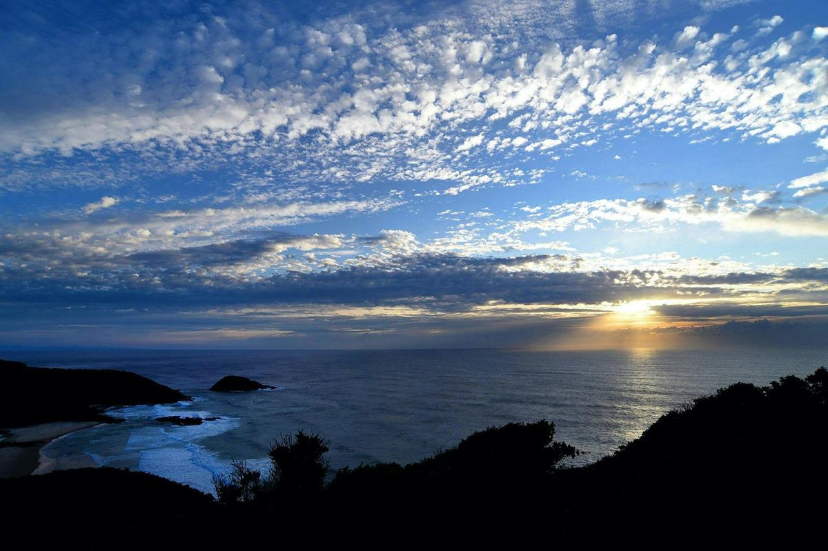 Rise with the Sun