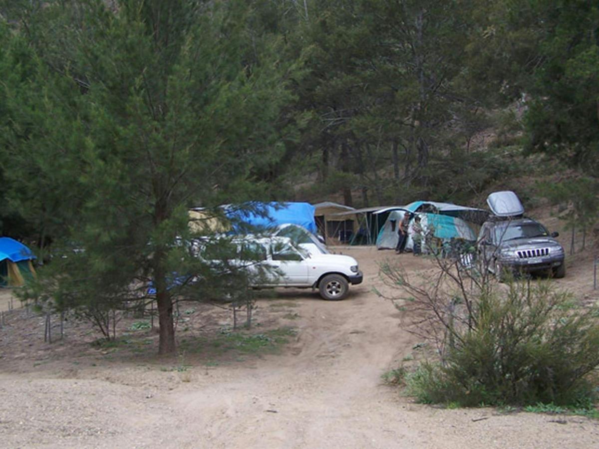 The Beach campground, Abercrombie River National Park. Photo: NSW Government