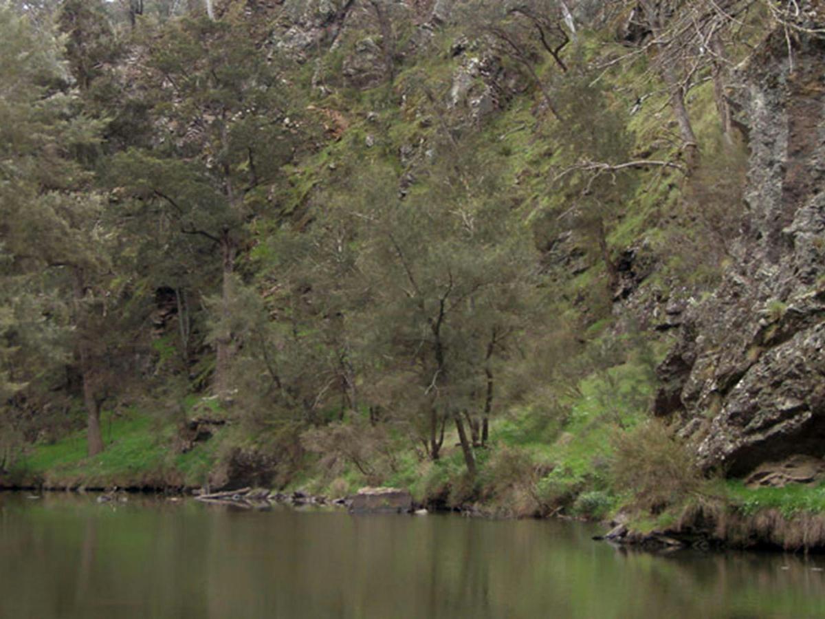 The Beach campground, Abercrombie River National Park. Photo: NSW Government