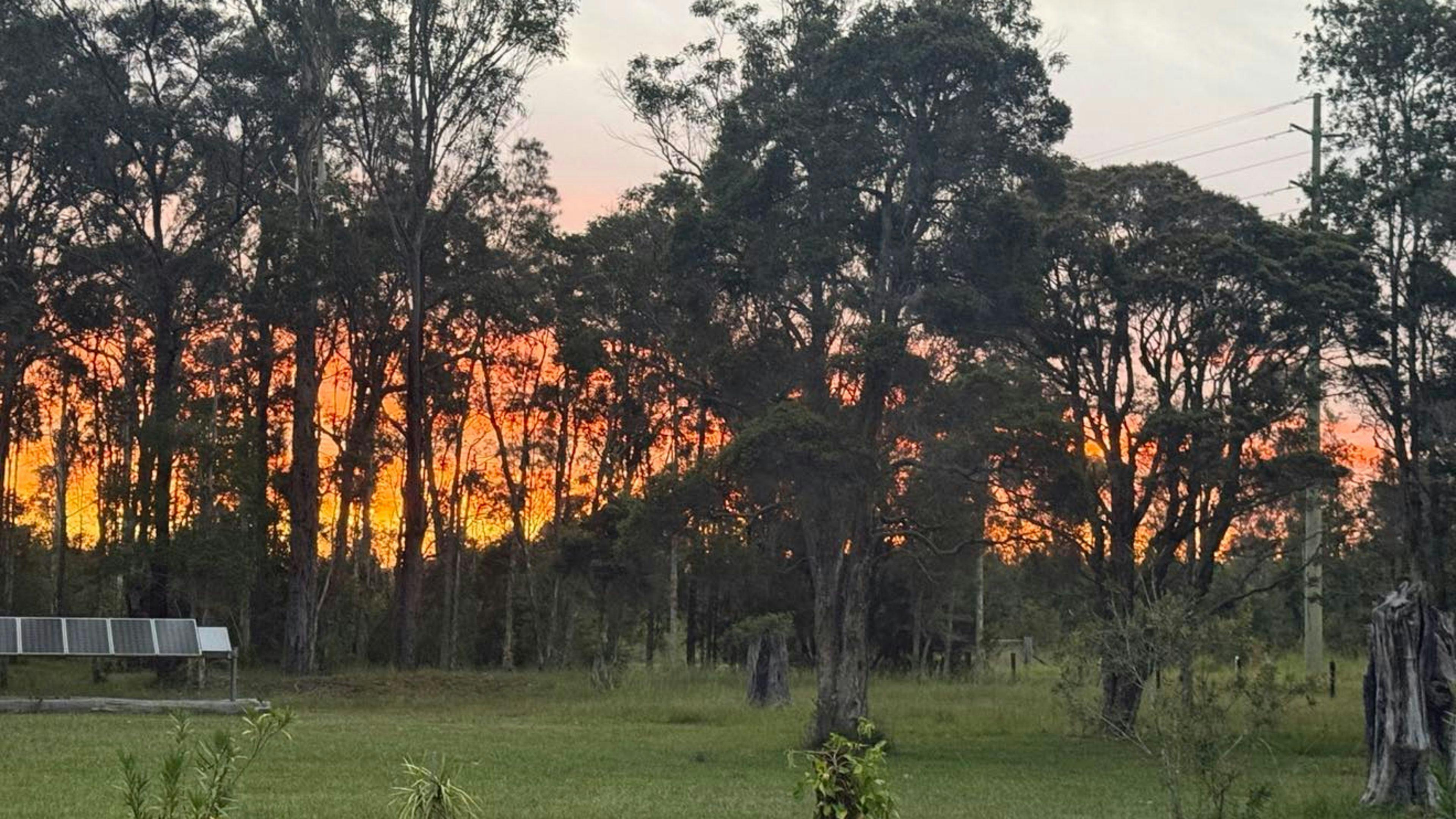 The Arcadia Urban Bush Retreat