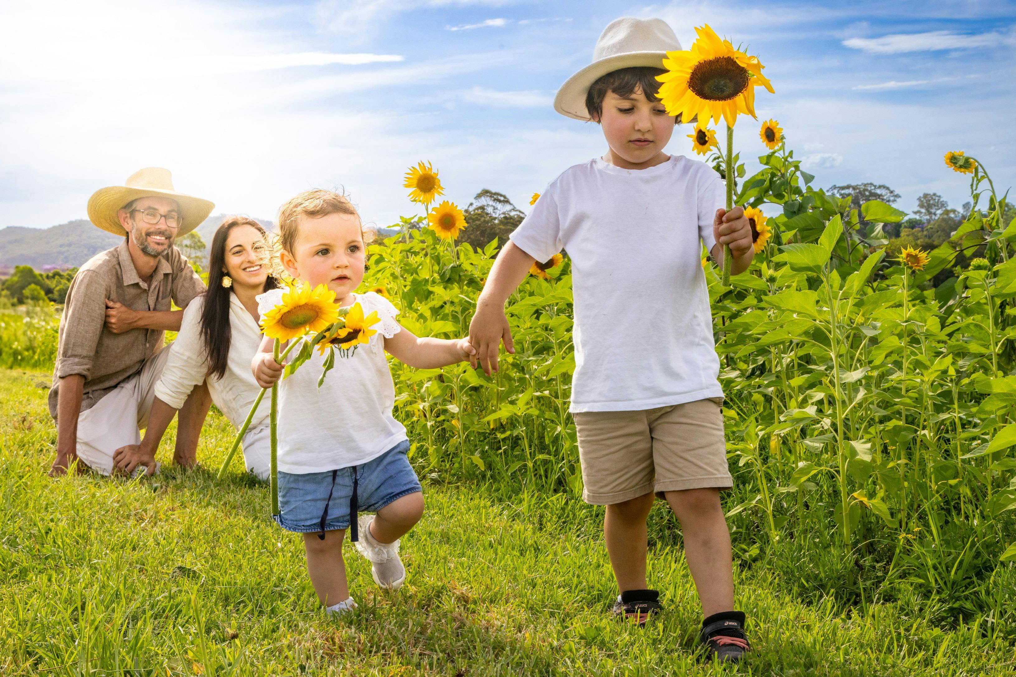 Exclusive access to sunflower field in summer months.