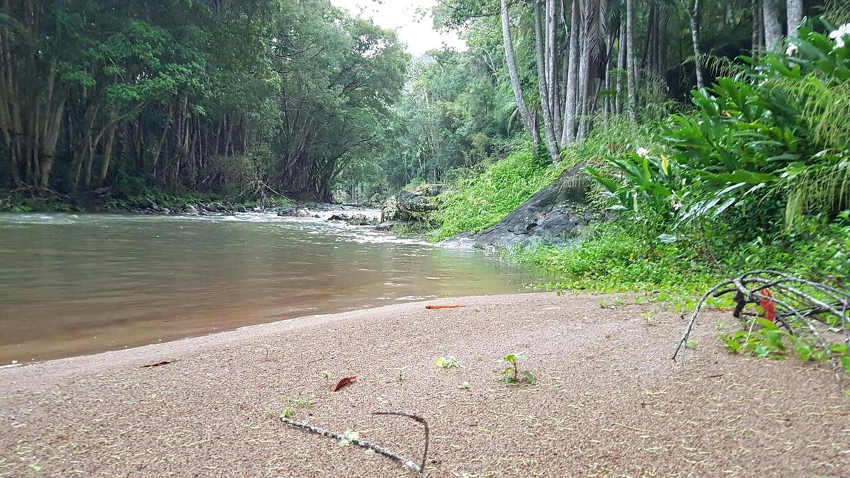 Swimming Hole