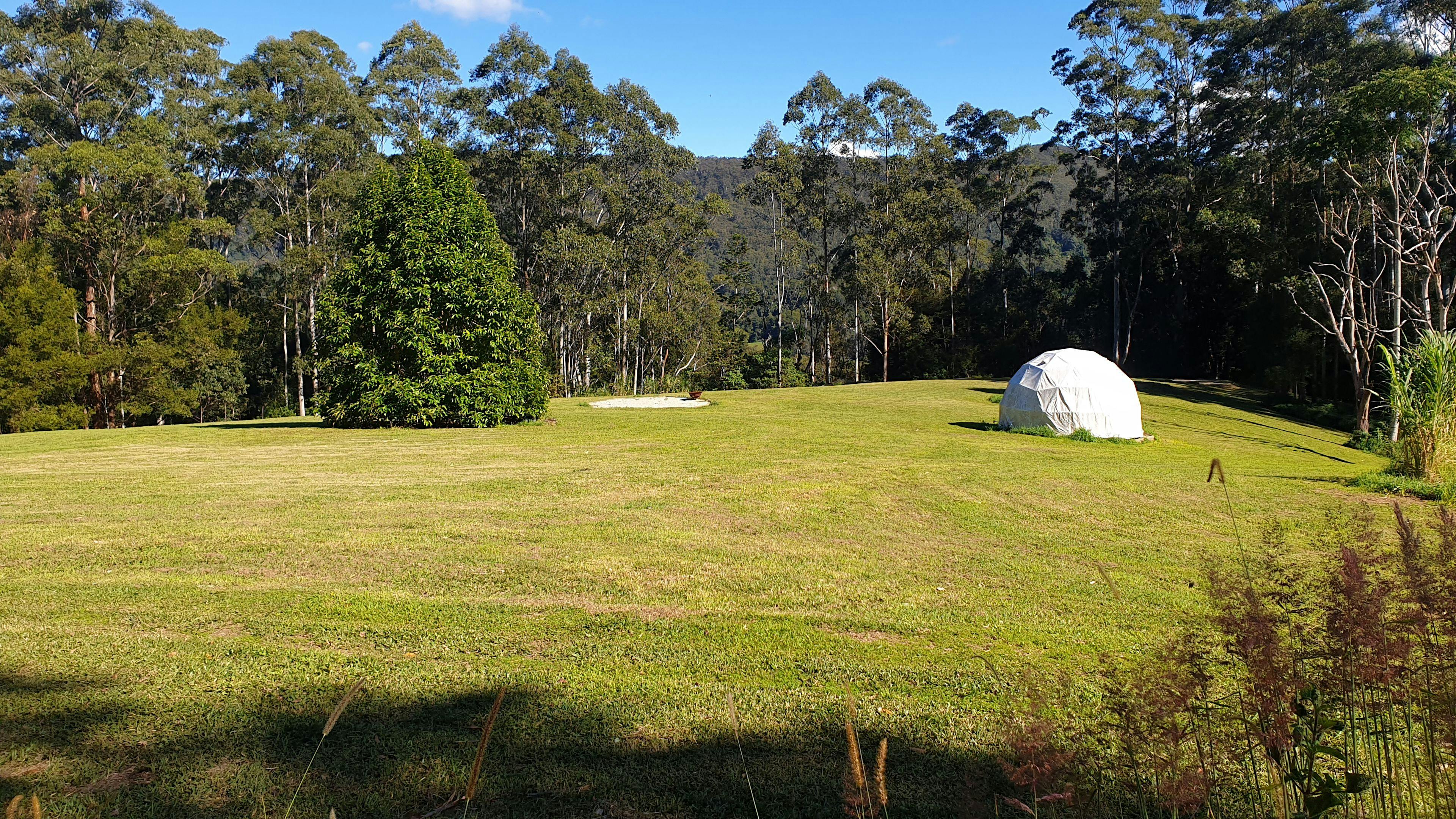 Upper Meadow campsite area