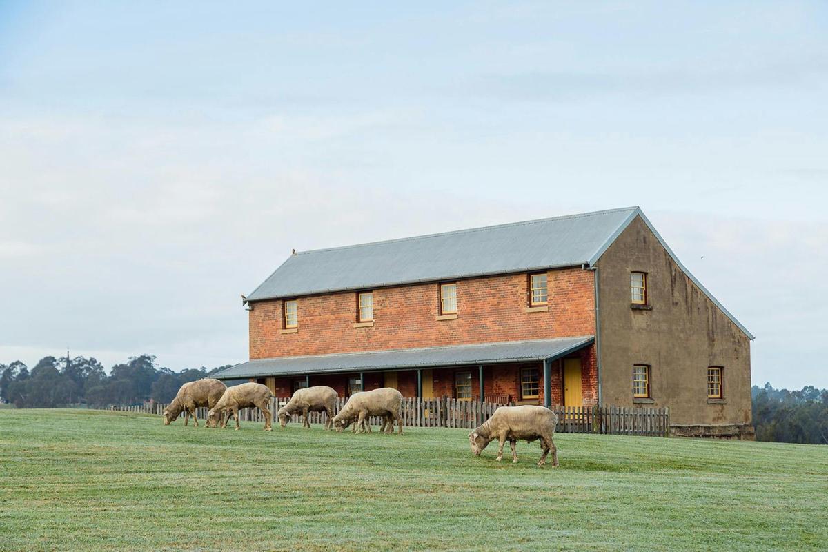 Watch the farm animals graze nearby here at The Barracks, in the Hunter Valley