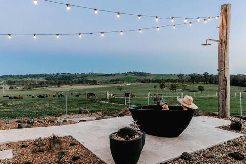 The Dairy - Little Forest