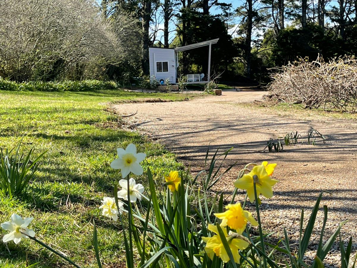 Tiny Home