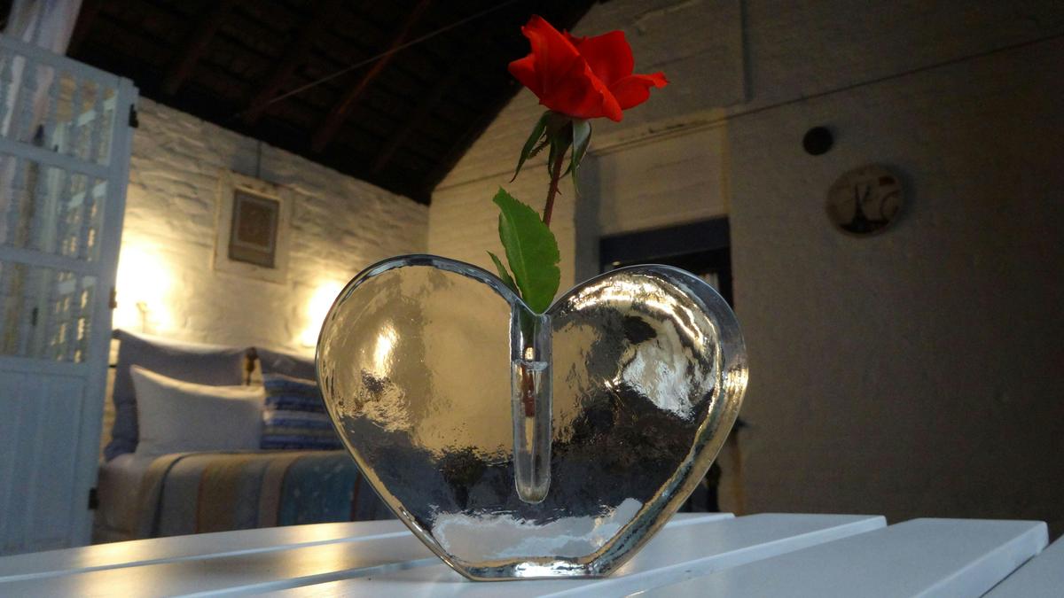 Love the Garden Room @ The Globe Inn Yass accommodation