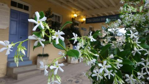 A warm welcome awaits you and your group when you arrive at The Globe Inn Yass