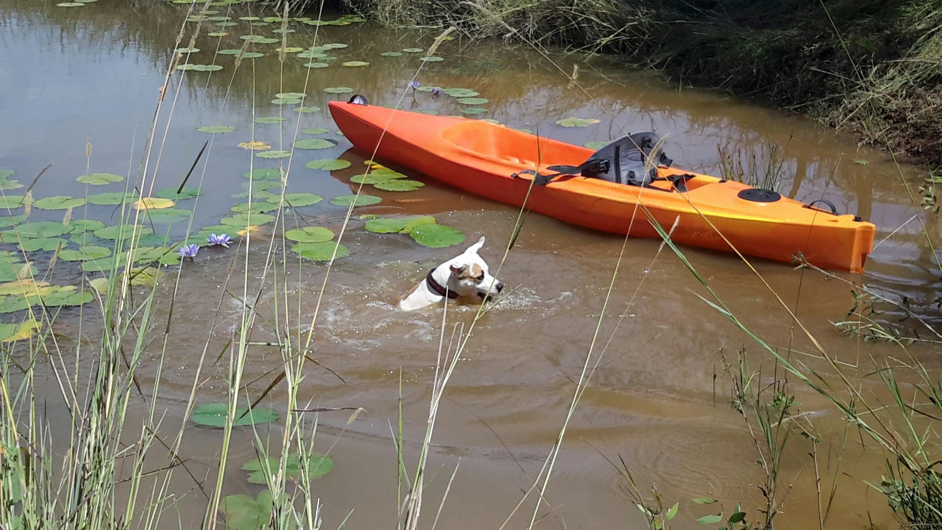 Swim Dam with a kayak