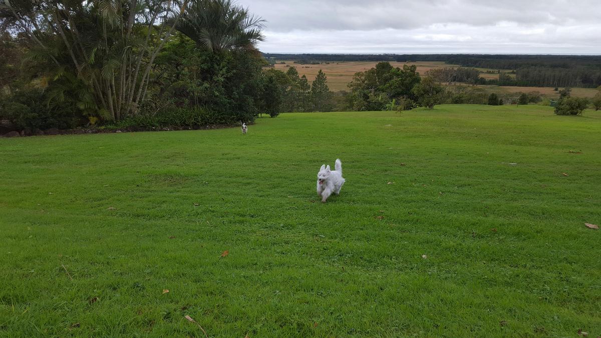 Running free
