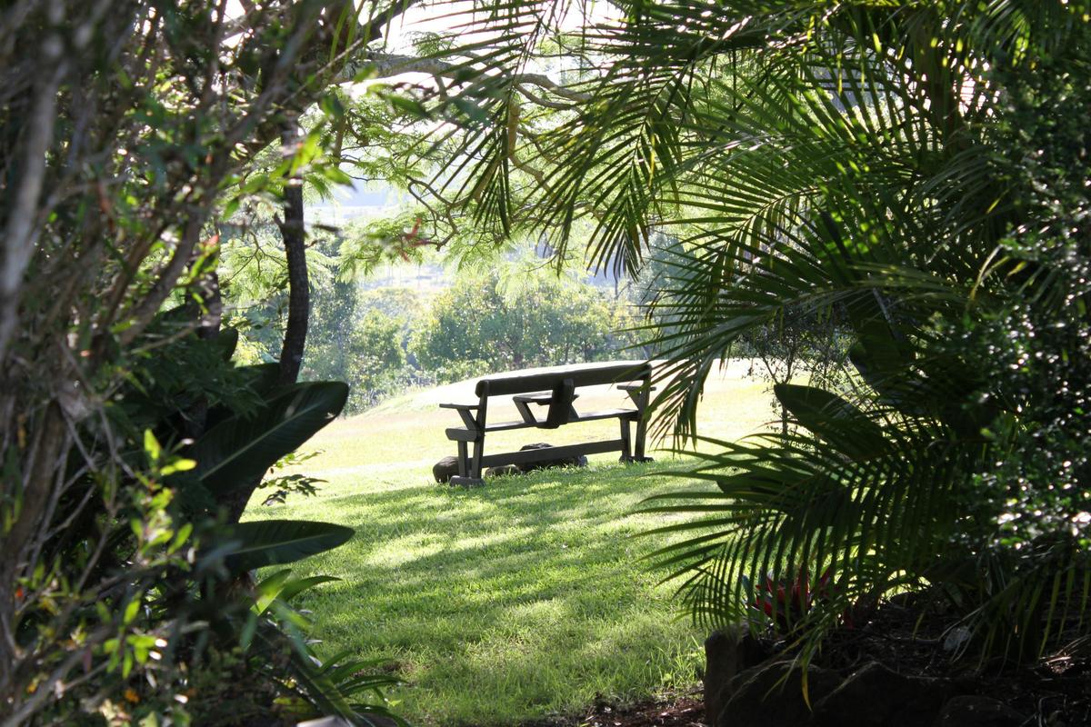 Relax in the open spaces