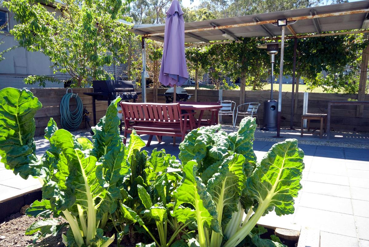 Rear barbecue area overlooking Nambucca River and Garden
