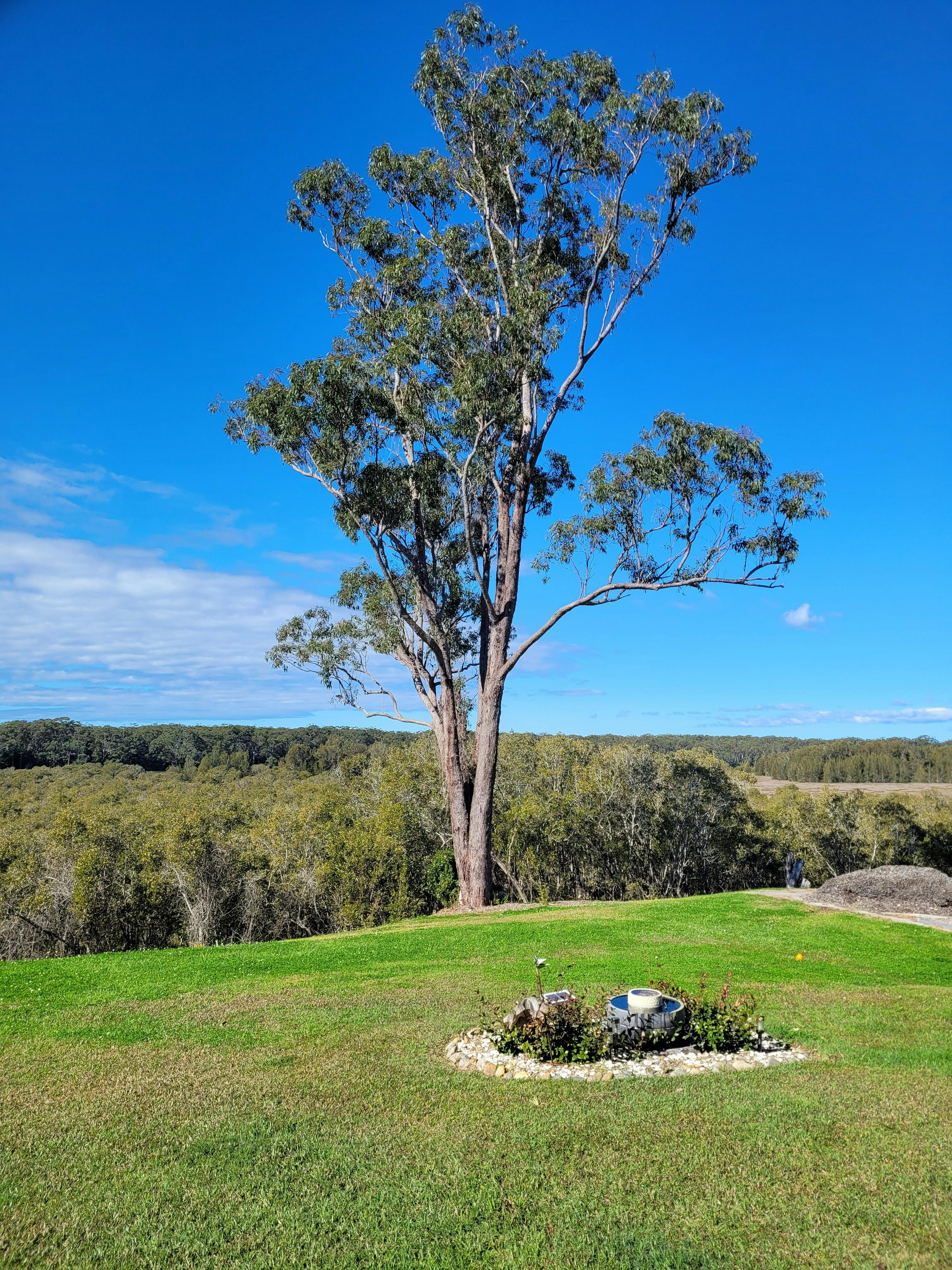 Large outdoor space with view to the river and mountains nearby