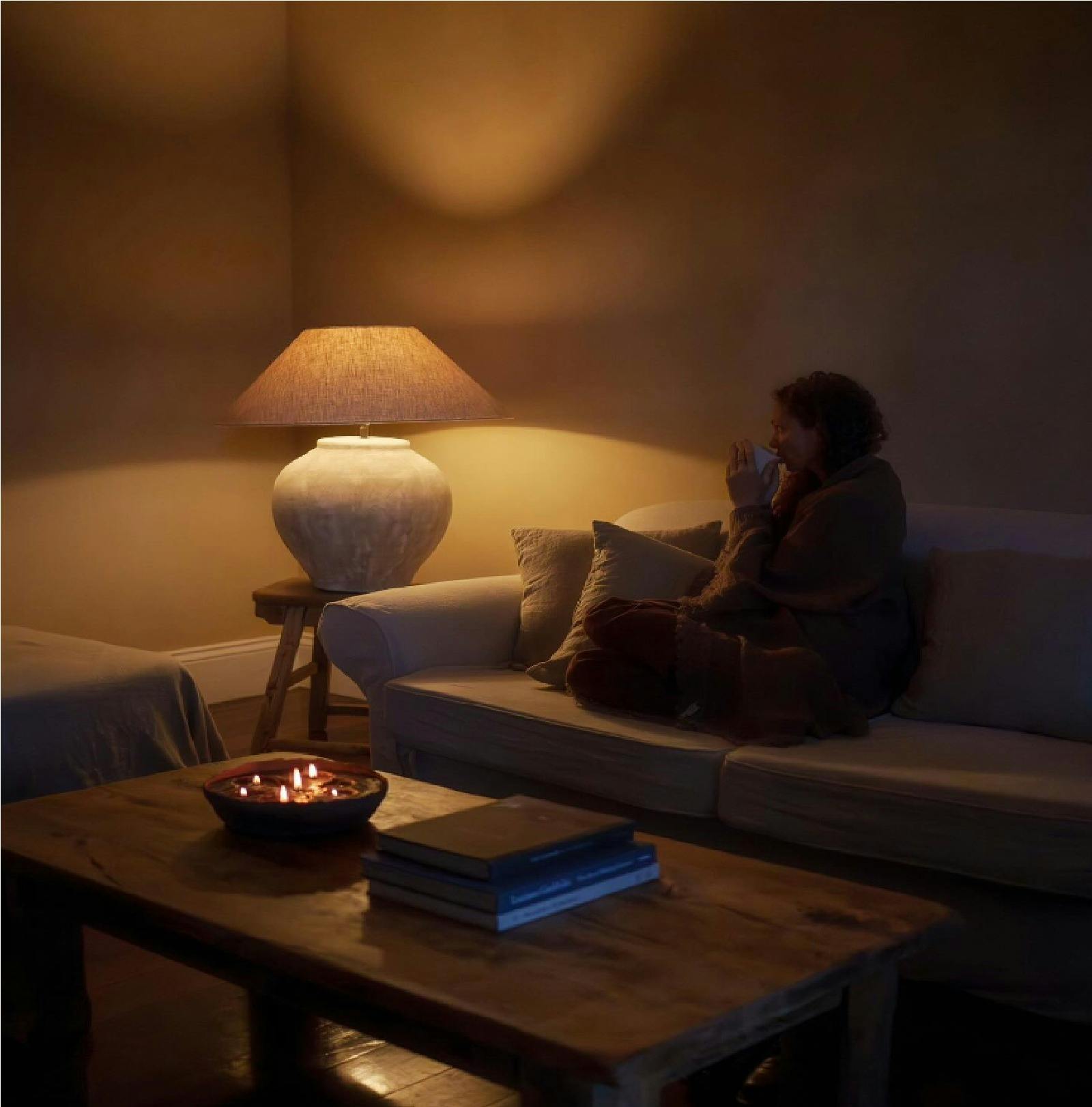 The Old Clarence Brewery