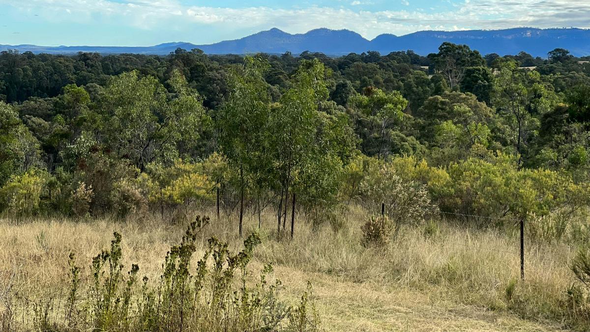 The Giants - mountain views camping