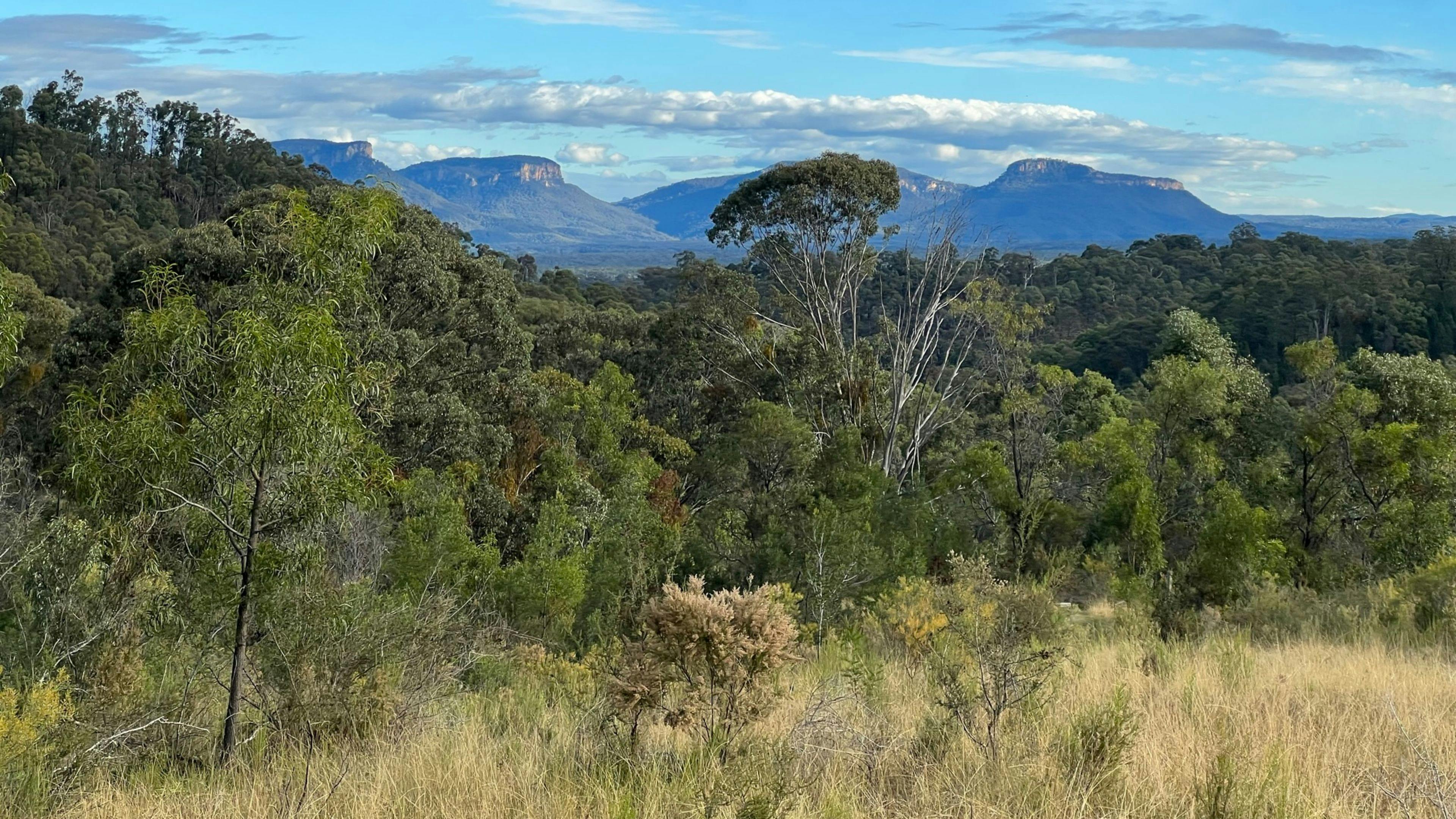 The Giants - mountain views camping