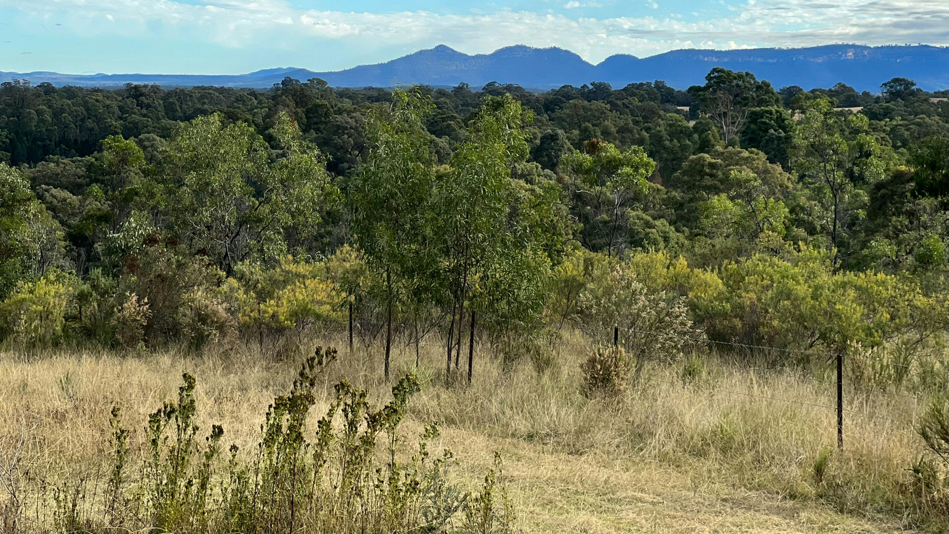 The Giants - mountain views camping