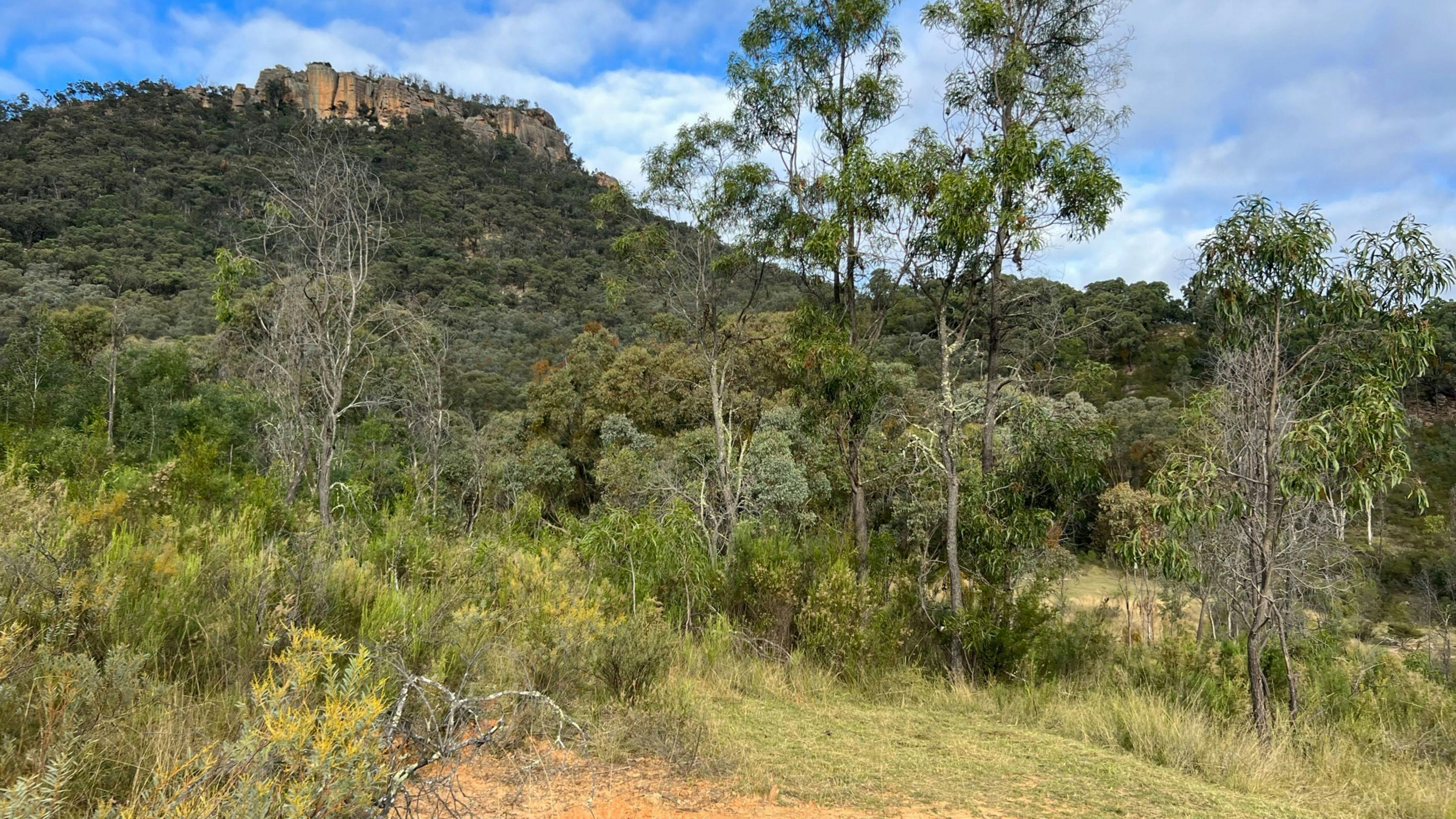 The Giants - mountain views camping