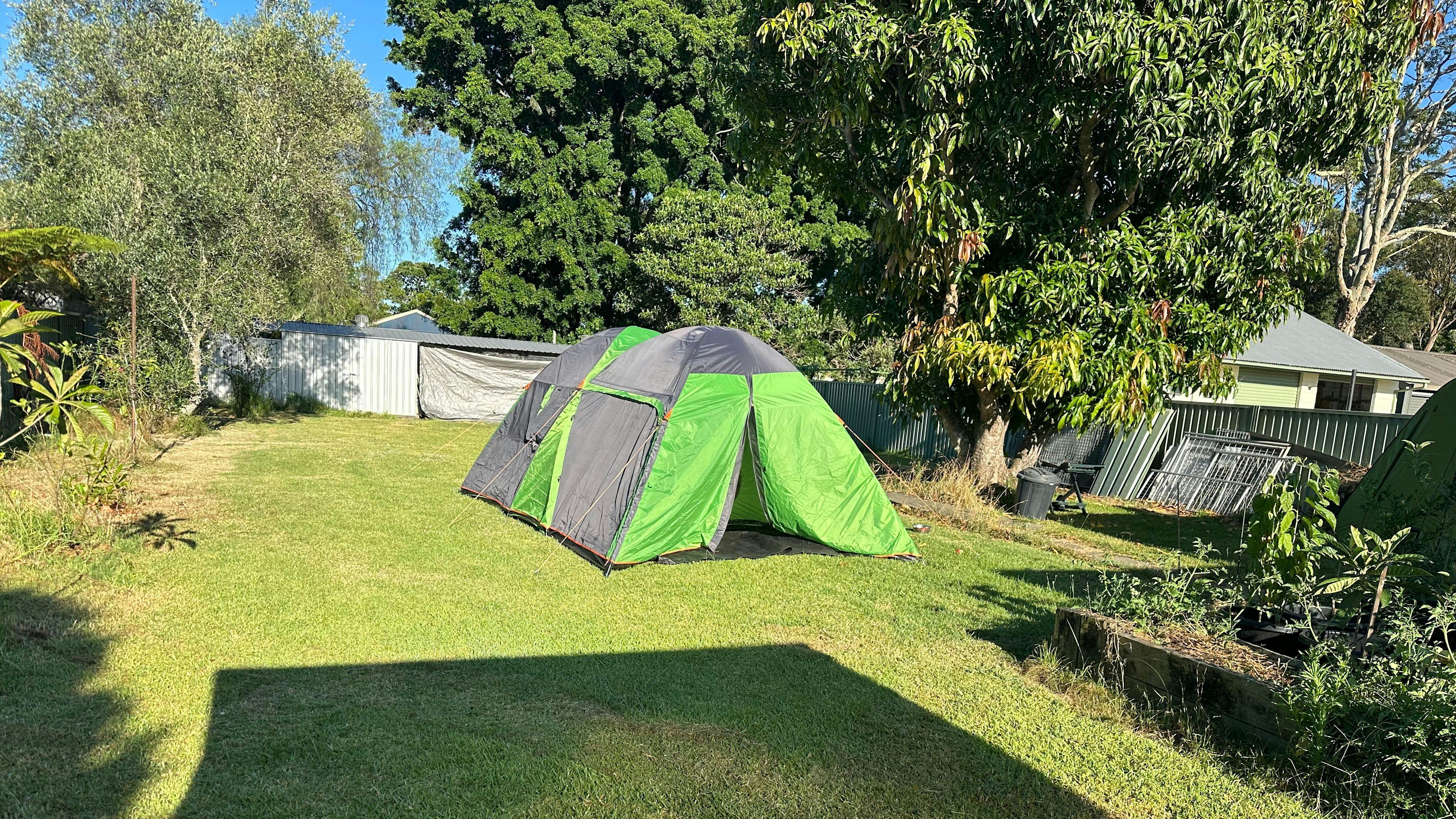 Therapy Animals Park