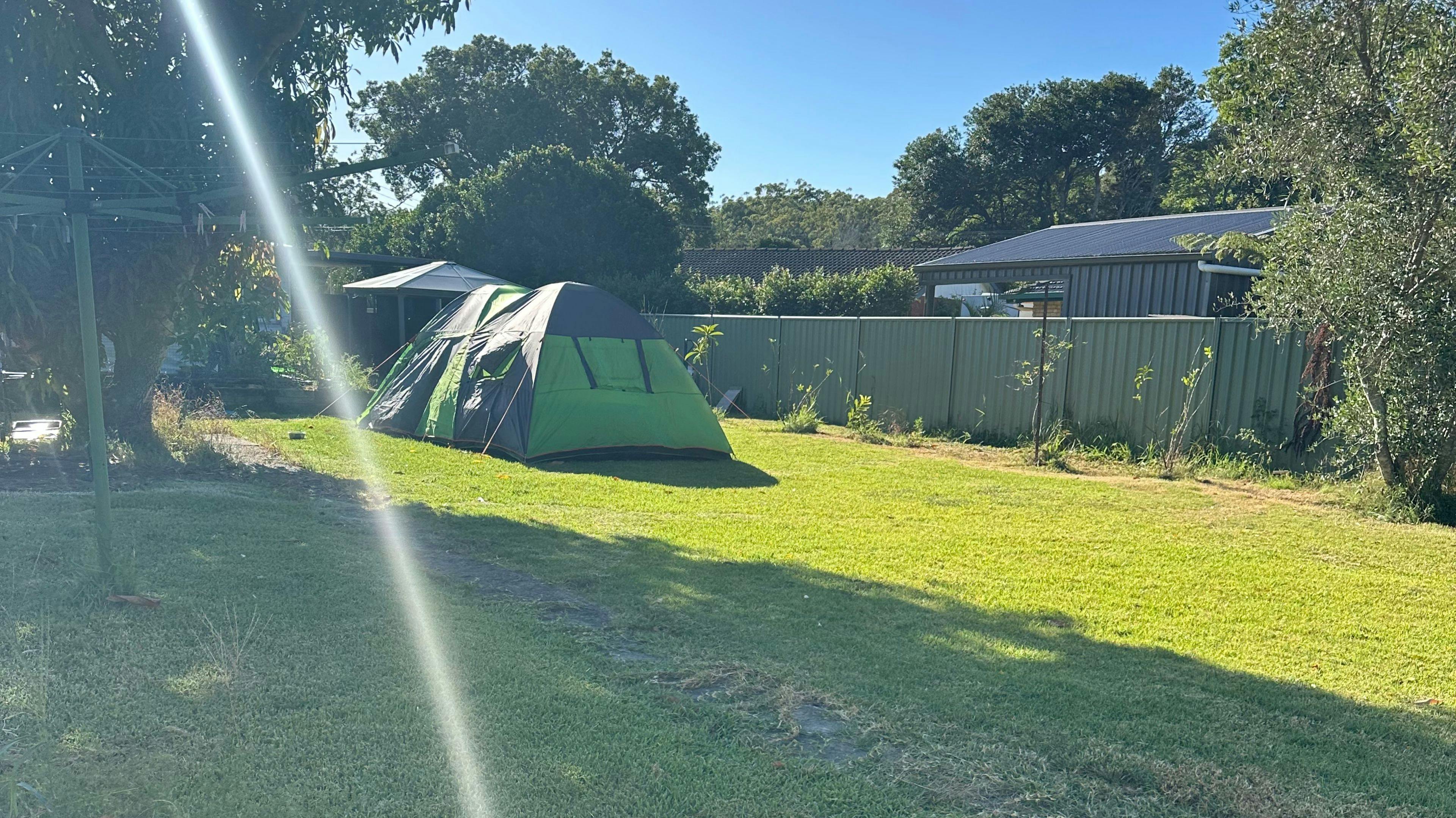 Therapy Animals Park