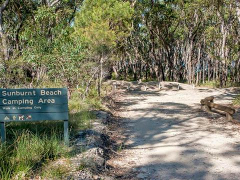 Sunburnt Beach campground, Meroo National Park. Photo: Michael van Ewijk/OEH