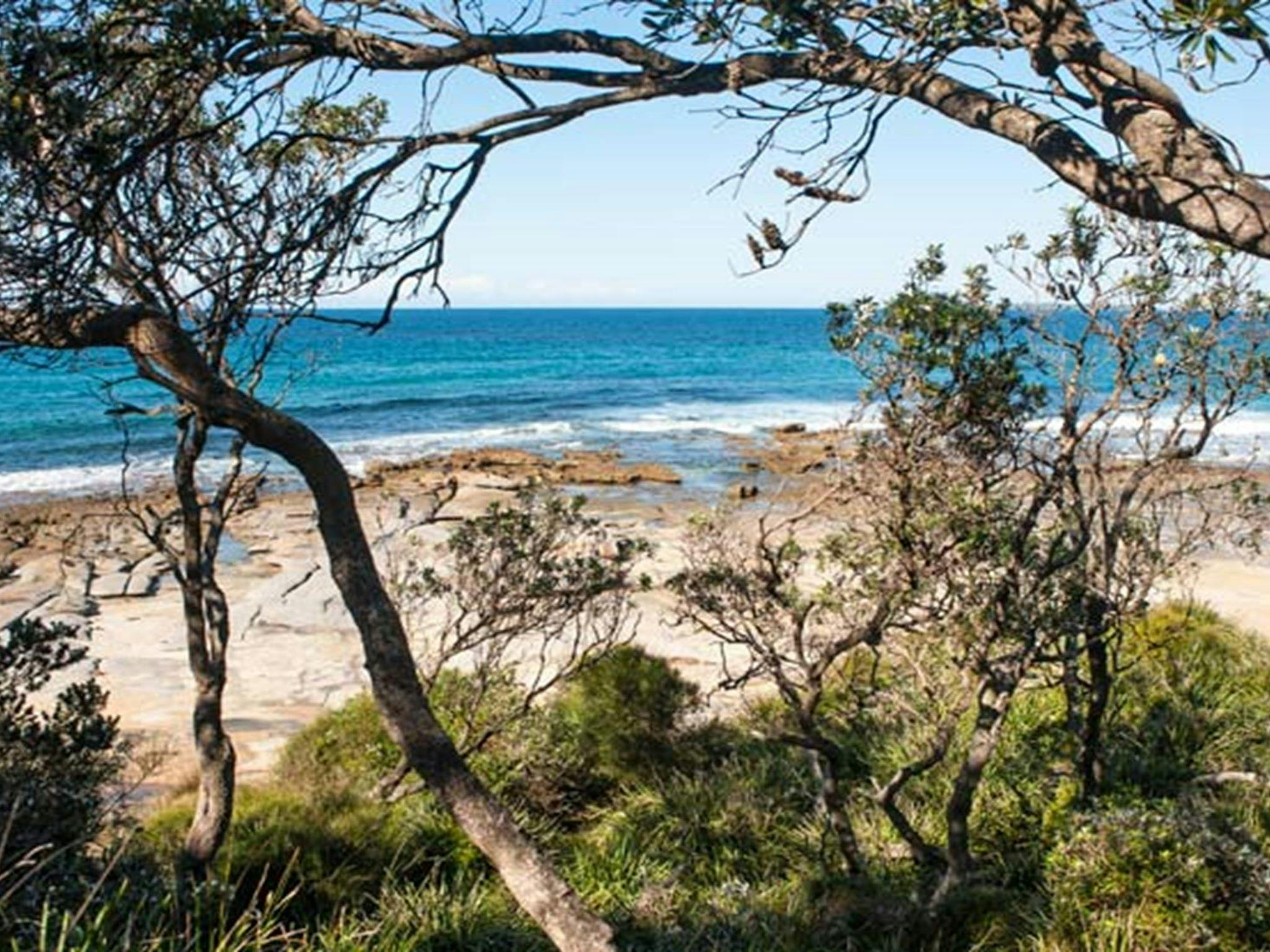 Sunburnt Beach campground, Meroo National Park. Photo: Michael van Ewijk/OEH