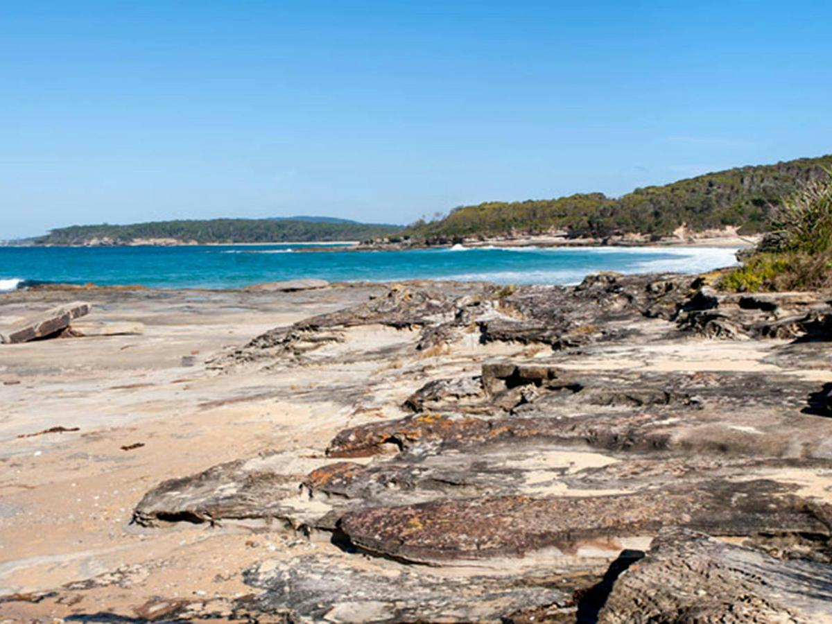 Sunburnt Beach campground, Meroo National Park. Photo: Michael van Ewijk/OEH