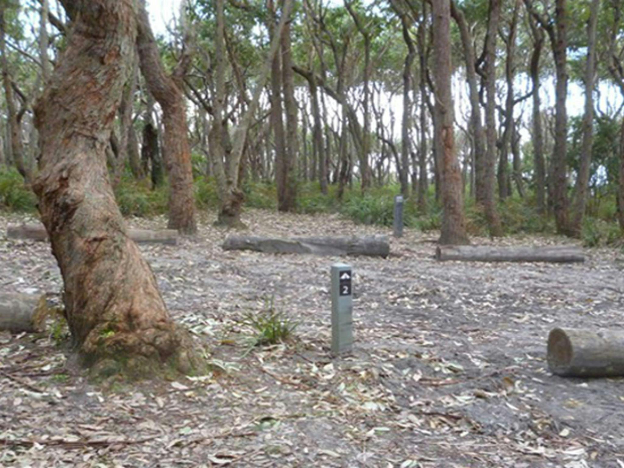 Sunburnt Beach campground. Photo: Meghan Kempster/NPWS