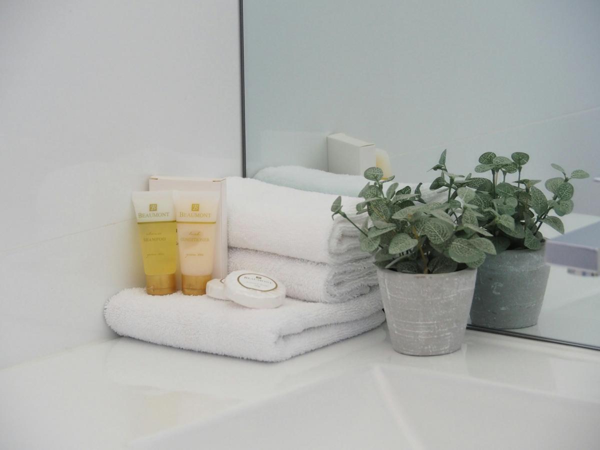 Superior Twin Balcony Lakeview Room Bathroom