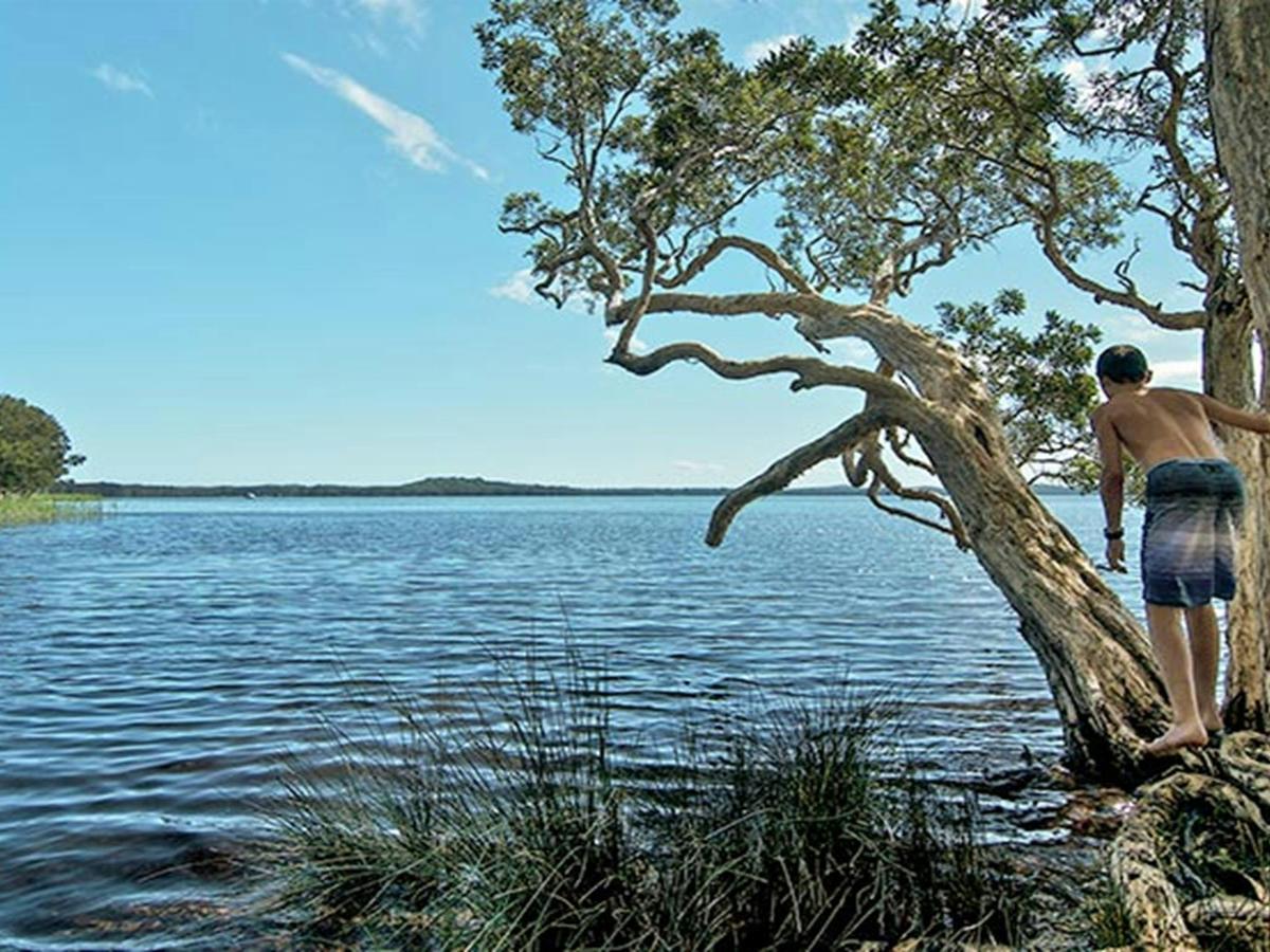 Wells campground, Myall Lakes National Park. Photo: John Spencer/NSW Government