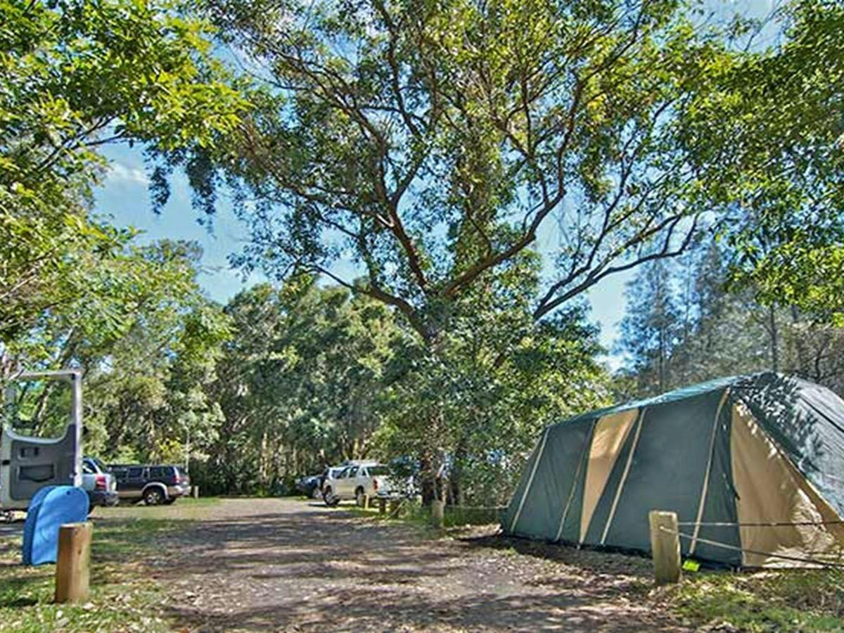 Wells campground, Myall Lakes National Park. Photo: John Spencer/NSW Government