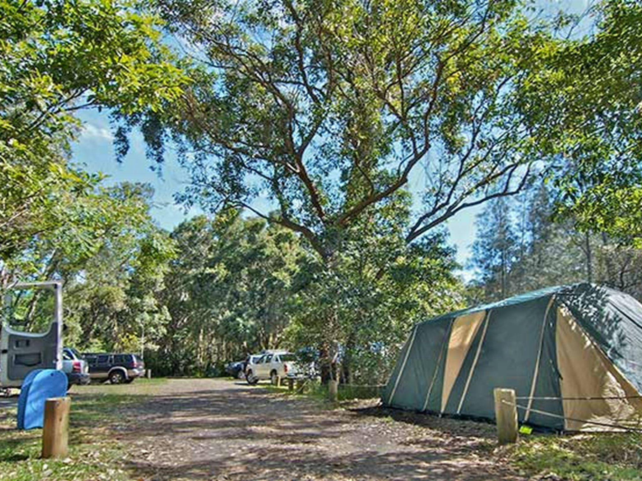 Wells campground, Myall Lakes National Park. Photo: John Spencer/NSW Government