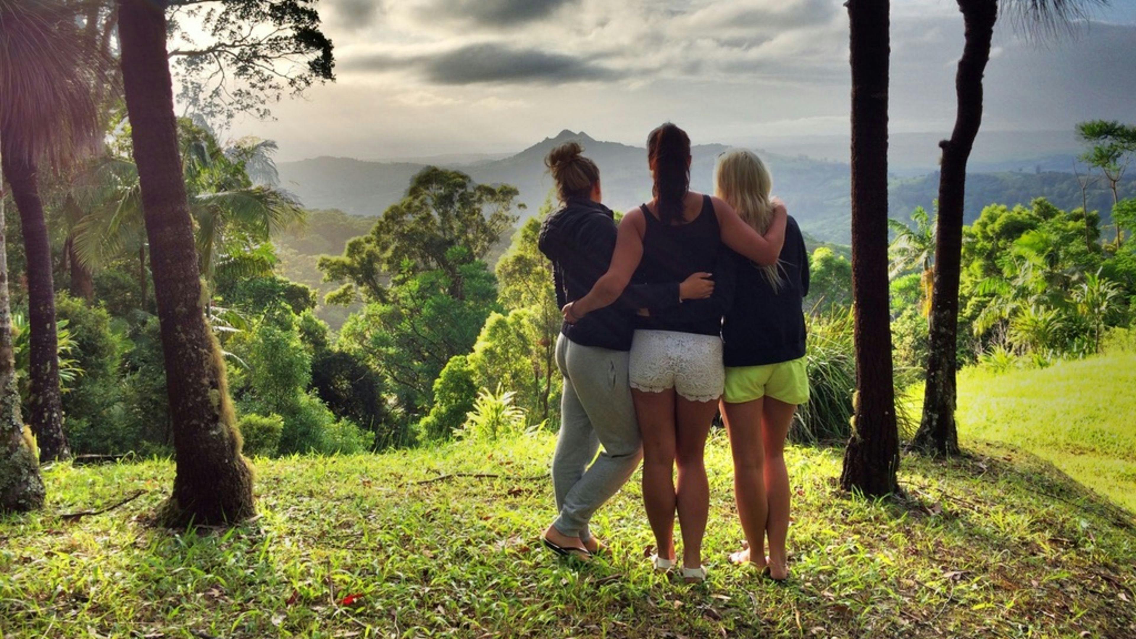 The Den of the Treehouse