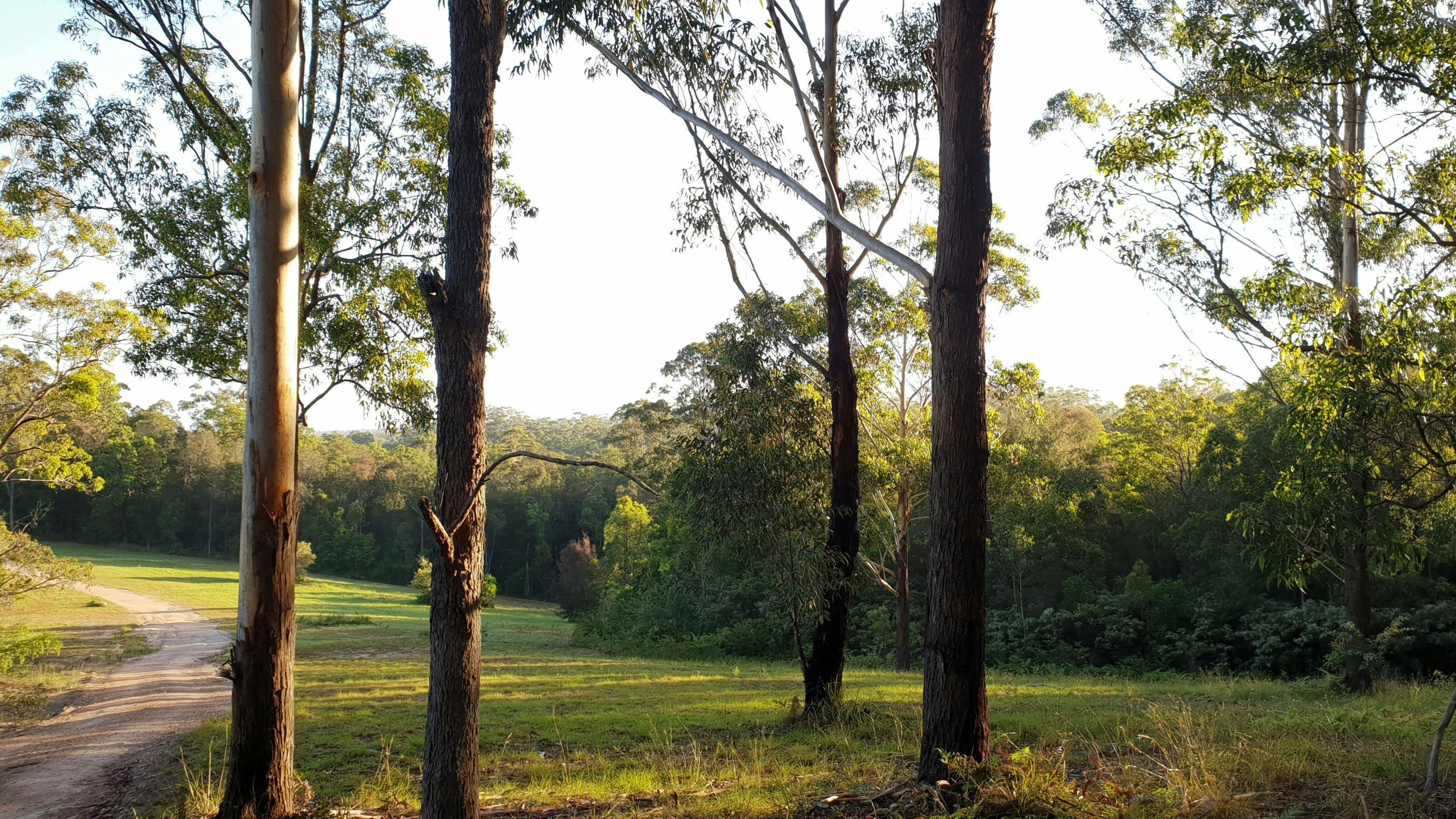 Down to the camping spots