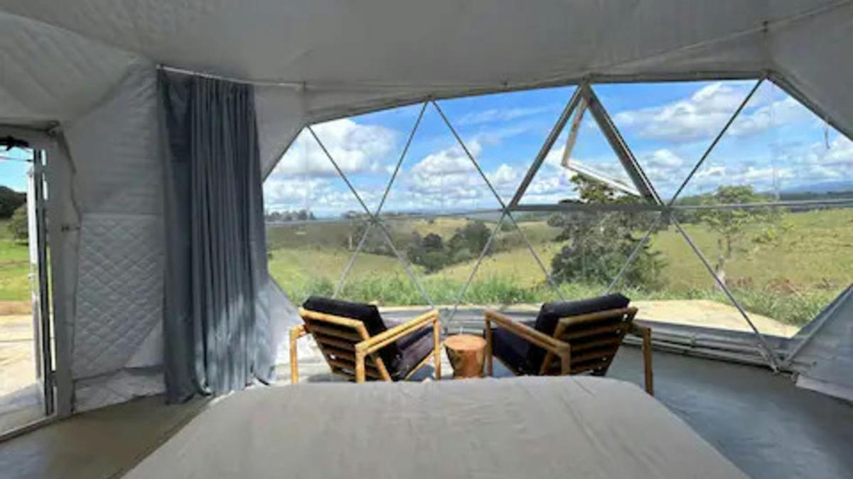 The Meadow -Byron Hinterlands Domes
