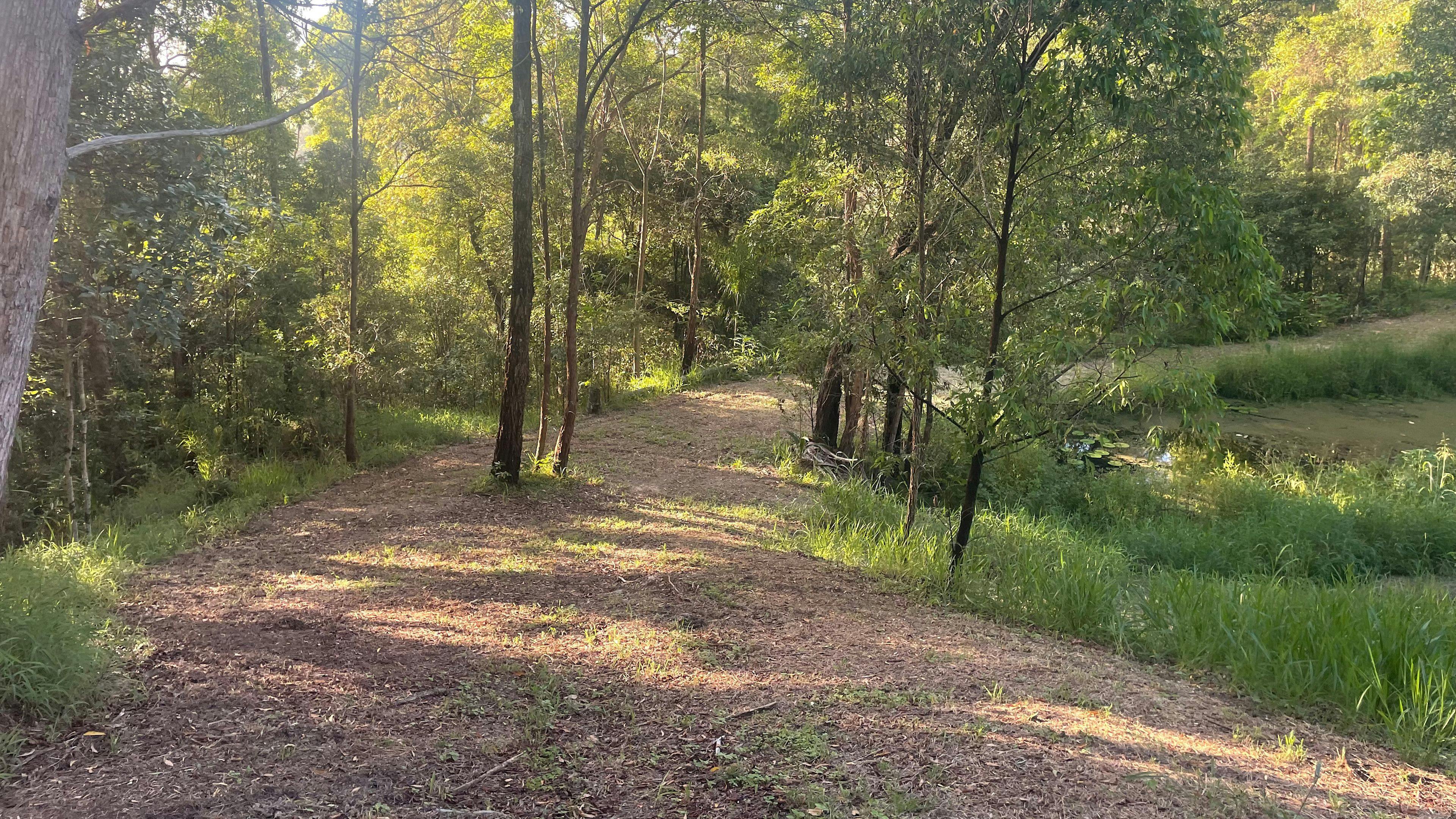 The Lodge - Camp & Van site