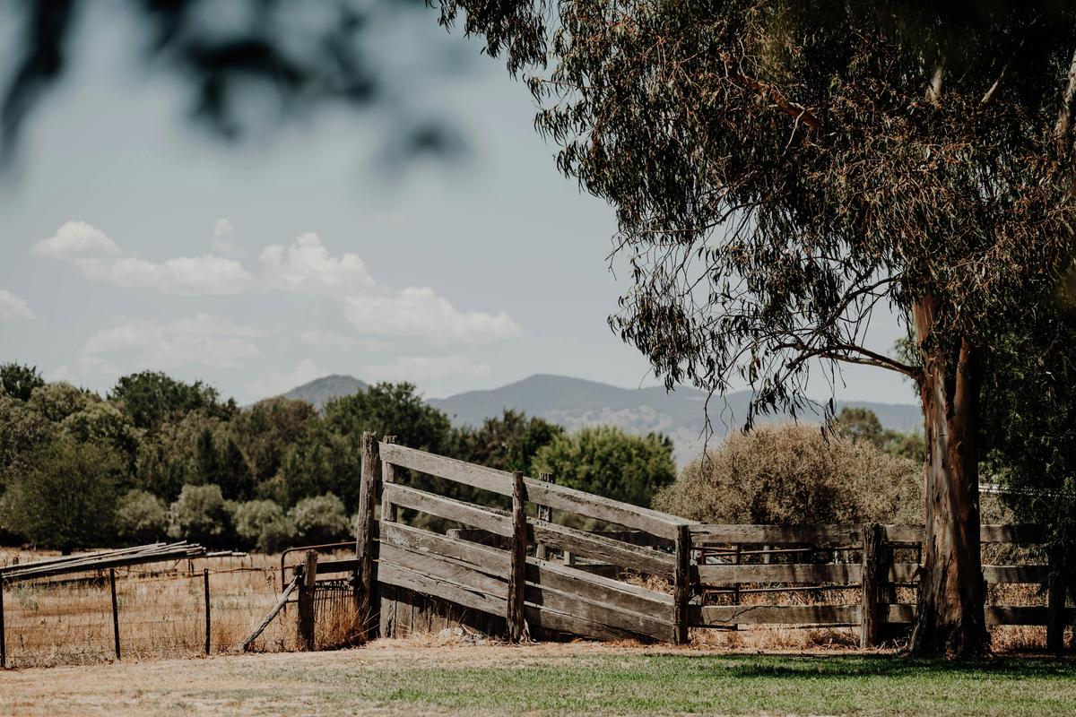 View across the paddocks