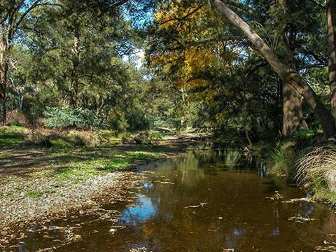 The Diggings campground
