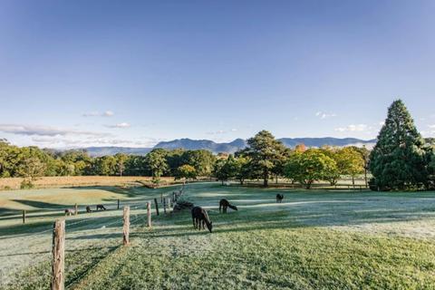 The Lodge Bellingen