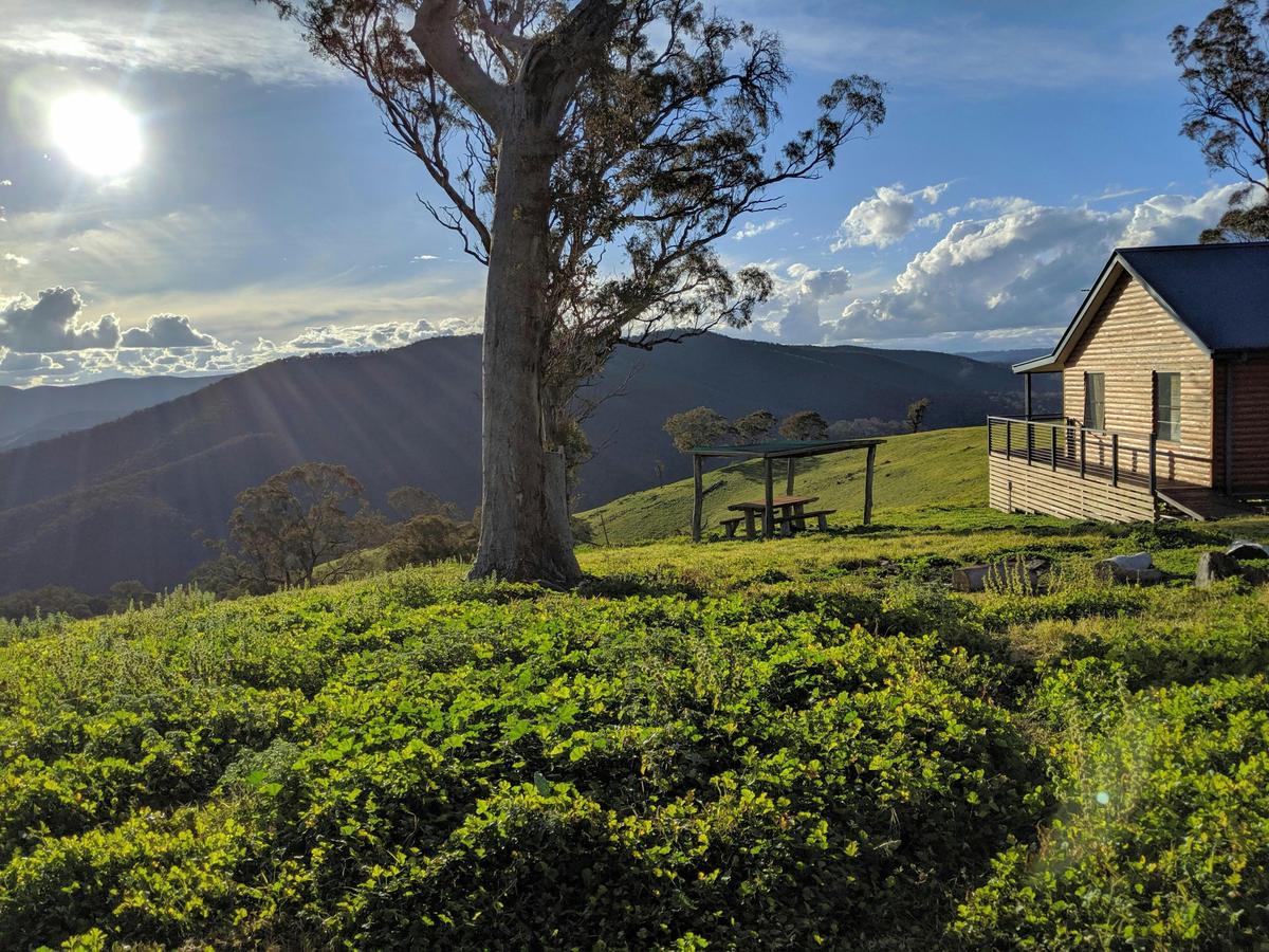 Mountain Cabin View
